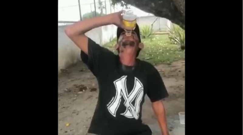 CACHACA-2_00546287_0_