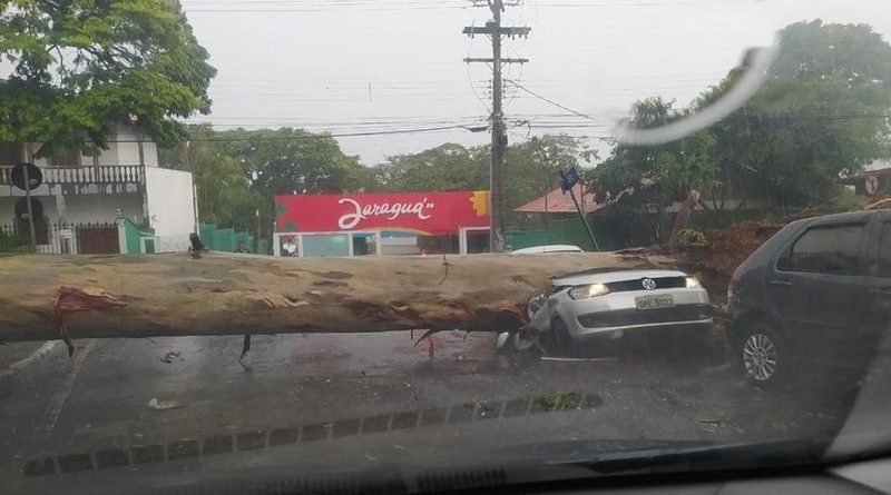 WhatsApp Image 2020-01-14 at 17.05.07