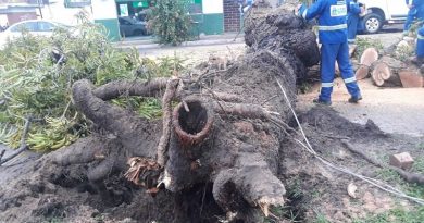 whatsapp-image-2020-01-03-at-08.31.22