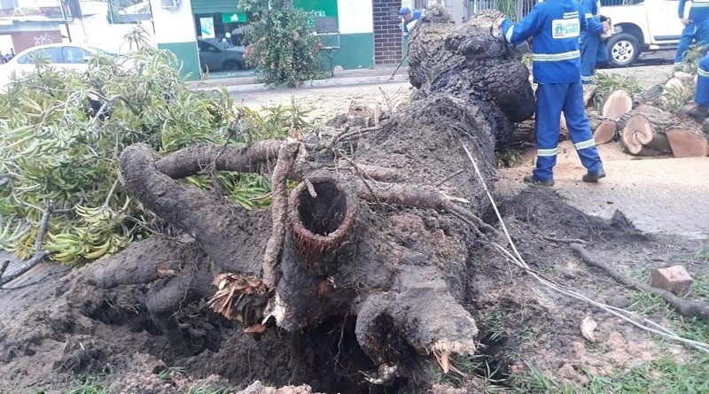 whatsapp-image-2020-01-03-at-08.31.22