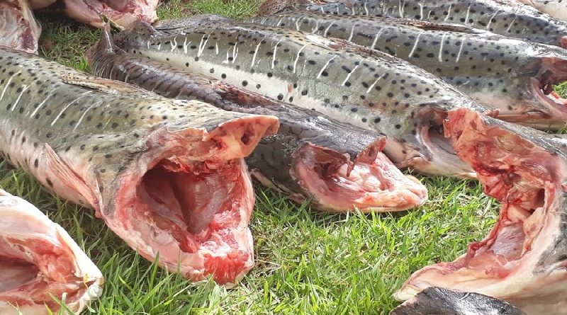 whatsapp-image-2020-01-06-at-09.30.54