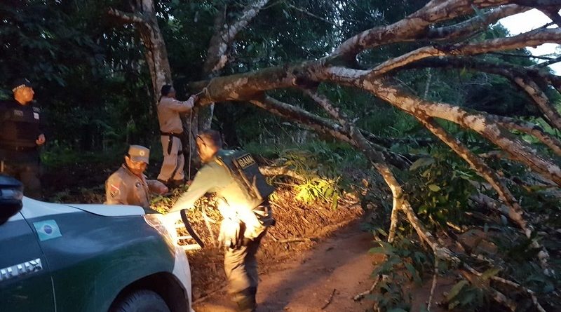 whatsapp-image-2020-01-16-at-23.41.15