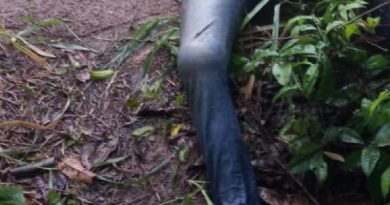 WhatsApp-Image-2020-02-25-at-16-16-43