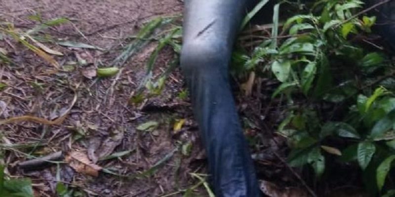 WhatsApp-Image-2020-02-25-at-16-16-43