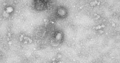 coronavirus1