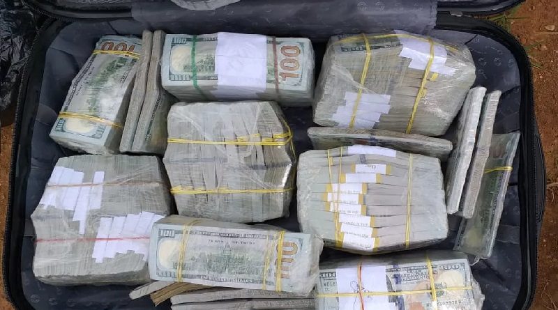 Dolar encontrado no avião(Foto:Divulgação PF)