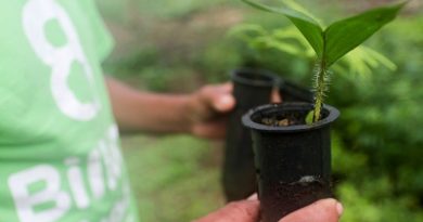 5898_6badde6a-fb07-659a-265a-8c04f509a041