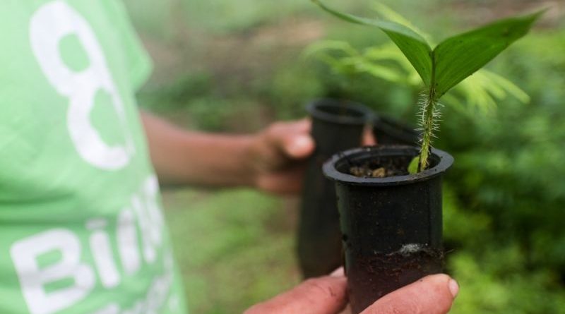 5898_6badde6a-fb07-659a-265a-8c04f509a041