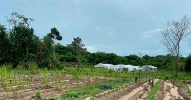 WhatsApp-Image-2020-04-07-at-20-18-57