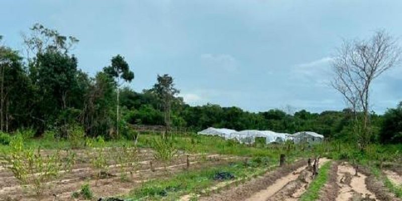 WhatsApp-Image-2020-04-07-at-20-18-57