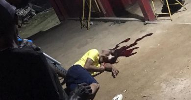 c88d3b7a-4343-4787-91ce-1cda4c856dc4