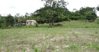 casulo2-e1552567487641