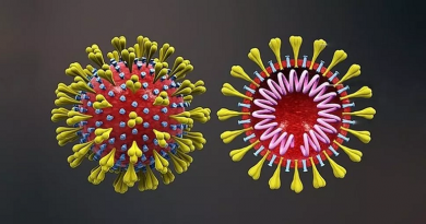 coronavirus
