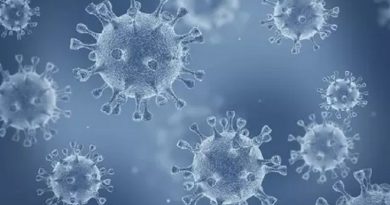 Novo coronavírus foi detectado pela primeira vez na China e se espalhou por todo o mundo
Novo coronavírus foi detectado pela primeira vez na China e se espalhou por todo o mundo
Foto: Getty Images / BBC News Brasil