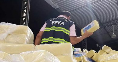 sefa-queijo