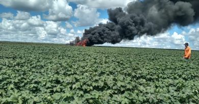 whatsapp-image-2020-04-13-at-14.53.51-1