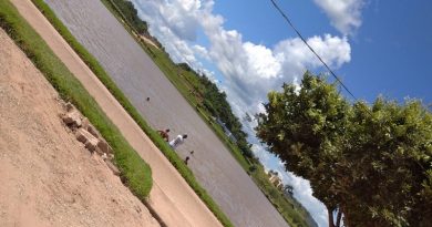 257fbb87-ffd2-4a79-9363-e778ea294fb4