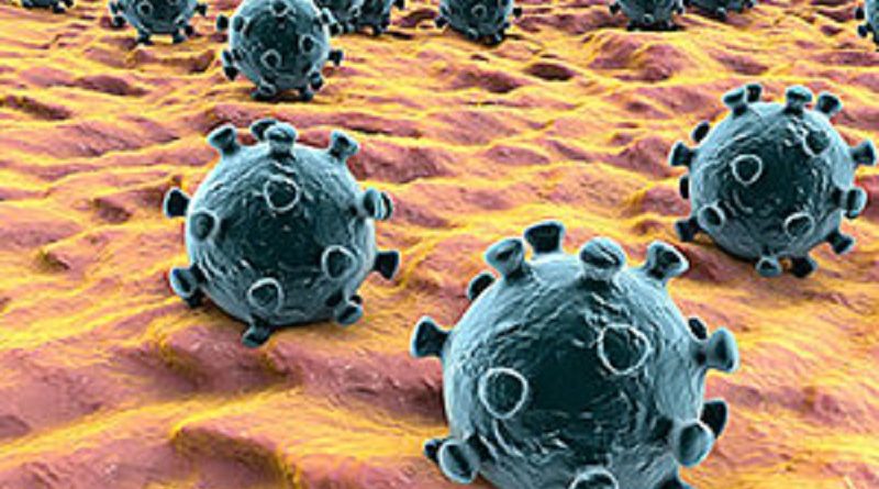 coronavirus-covid-196