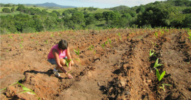 reforma_Agrária_EBC