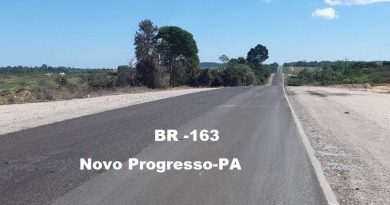 br 163