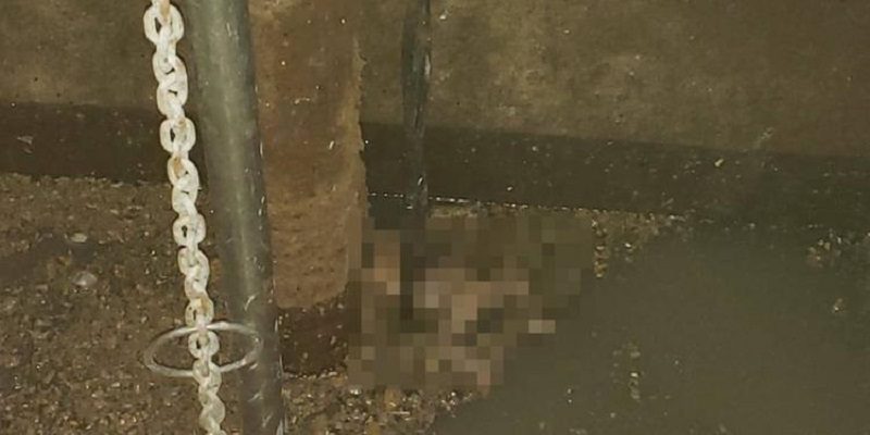 Bebe-no-esgoto-Reproduc-o