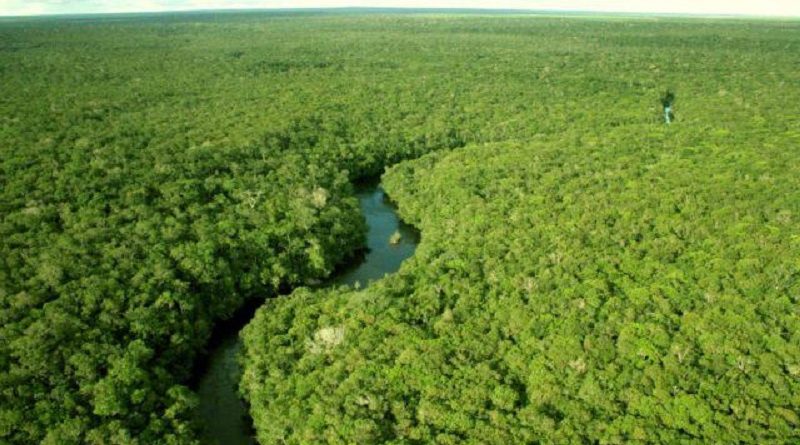 amazonia