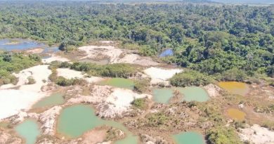 fiscalizacao-multa-garimpo-ilegal-em-carlinda-e-alta-floresta