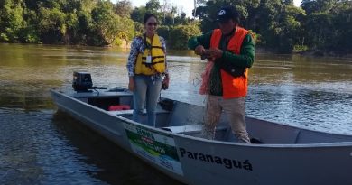 Peixes estavam presos a rede foram soltos (Foto:Ascom SEMMA-NP)