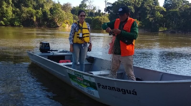 Peixes estavam presos a rede foram soltos (Foto:Ascom SEMMA-NP)
