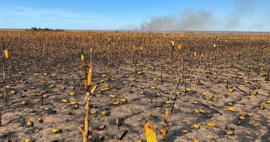 whatsapp-image-2020-07-13-at-12.54.12