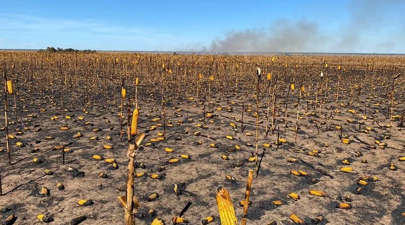 whatsapp-image-2020-07-13-at-12.54.12