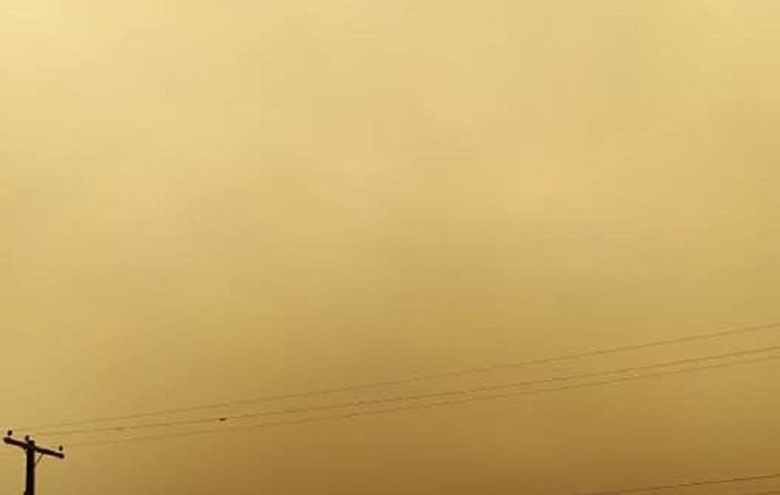 117536429_175651774058661_7400180290419484487_n