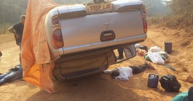 c14fbf10-cb74-4241-984c-a6316f6b1ce9