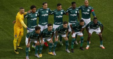 palmeiras