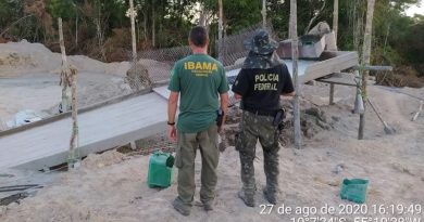 Operação da PF e Ibama multou 11 pessoas no norte de Mato Grosso — Foto: Polícia Federal de Mato Grosso