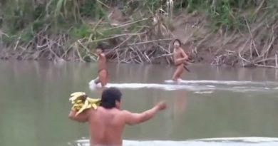 xISOLADOS.png.pagespeed.ic.wuLBSPC1ci