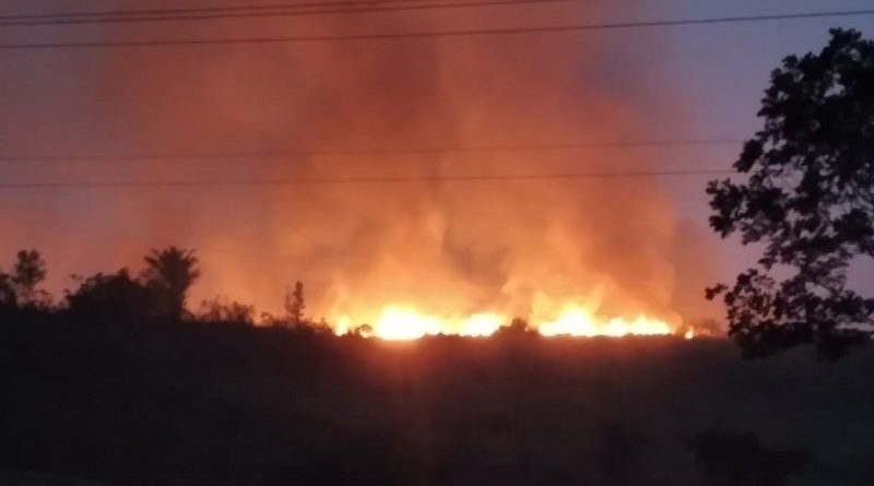 92ace36f-efa1-4e4c-b261-7ed33dc7ff19