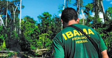ibama