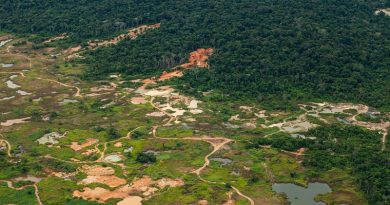 Garimpo ilegal TI kayapo_-2