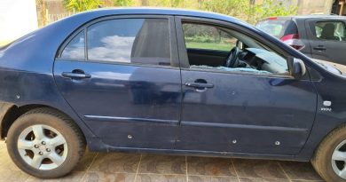 e9c732b1-cf4c-46cb-b4a8-d8ac3c1458f4-990x556