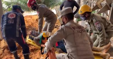 Foto: Nayara Rede Tv