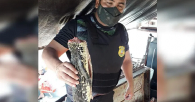 Foto: Semma/Divulgação