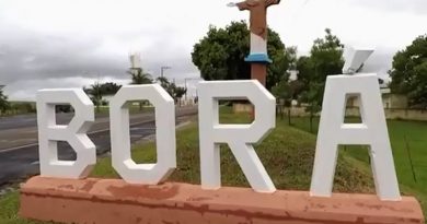 bora