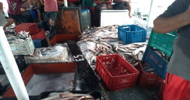 Foto: ICMBio/Divulgação