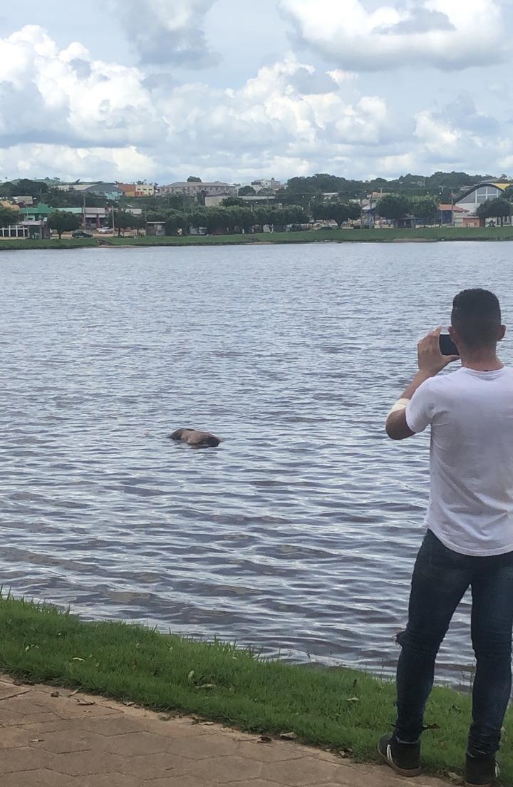 CORPO FOI ENCONTRADO BOIANDO NA MANHÃ DESTE DOMINGO (10)< 