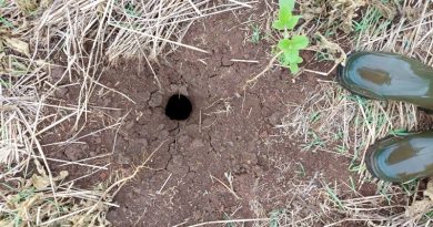 WhatsApp-Image-2020-12-31-at-17.08.34