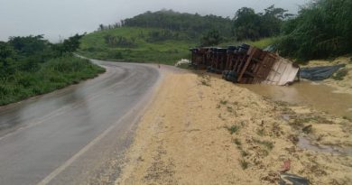 36bd8c1f-8a6b-46d3-8d75-999a2e4e24bd