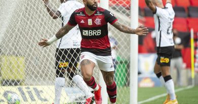 50943967257_fbeabb1d8c_c