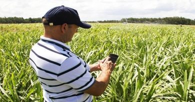 aplicativo-embrapa-paulo-lanzetta-embrapa-8-2-2021