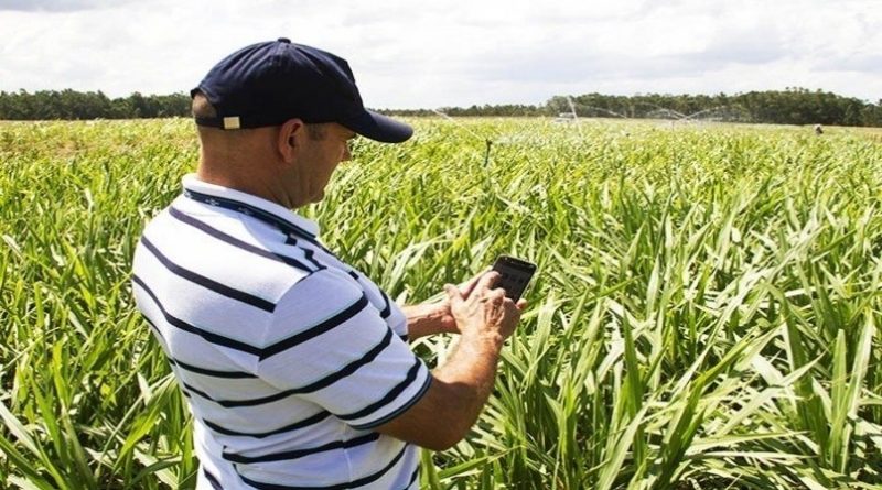 aplicativo-embrapa-paulo-lanzetta-embrapa-8-2-2021